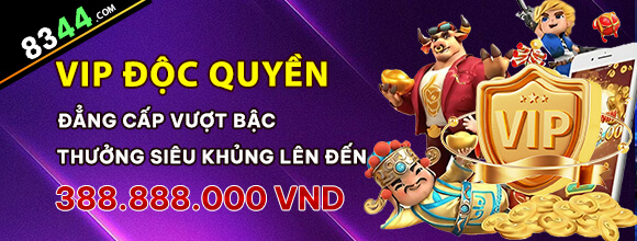 Hình ảnh quảng cáo của vm77 hiển thị nền tảng và các lợi ích