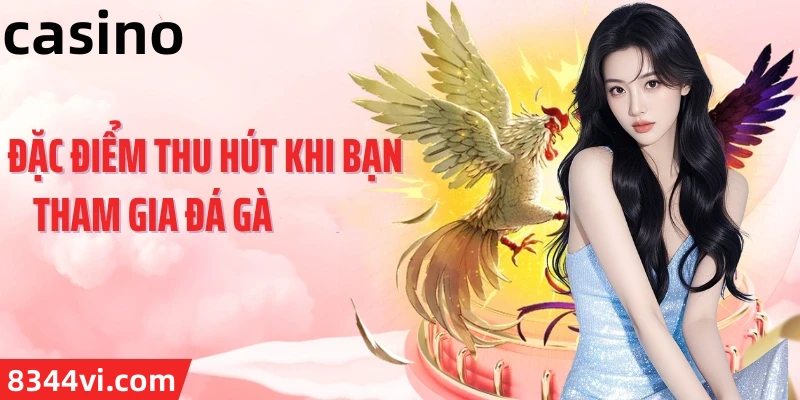 Hình ảnh quảng cáo của vm77 hiển thị nền tảng và các lợi ích