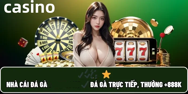 Hình ảnh quảng cáo của vm77 hiển thị nền tảng và các lợi ích