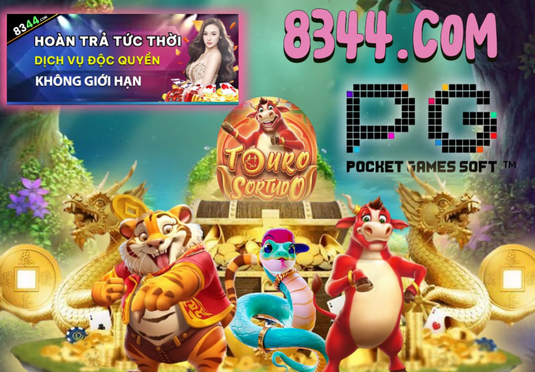 Hình ảnh quảng cáo của vm77 hiển thị nền tảng và các lợi ích