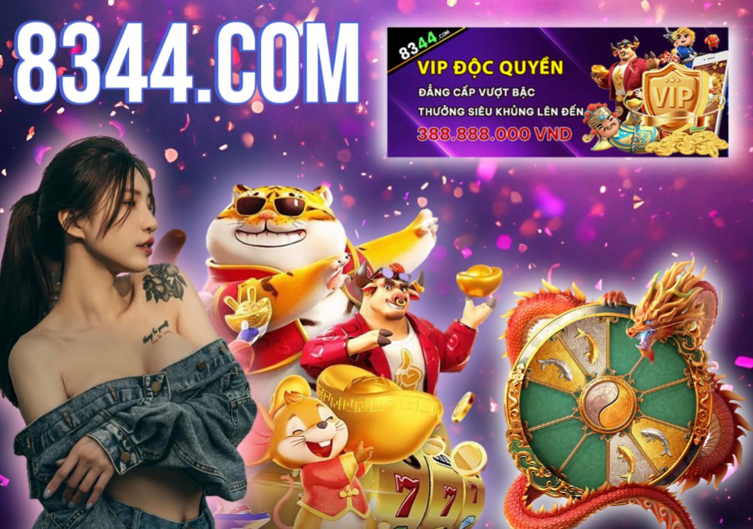 Hình ảnh quảng cáo của vm77 hiển thị nền tảng và các lợi ích