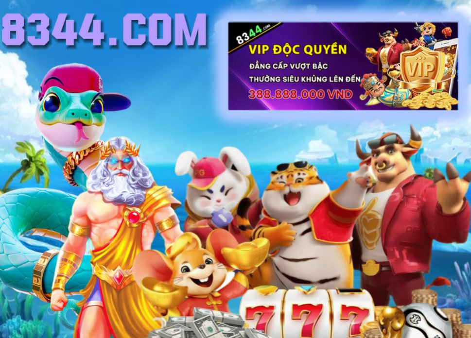 Hình ảnh quảng cáo của vm77 hiển thị nền tảng và các lợi ích