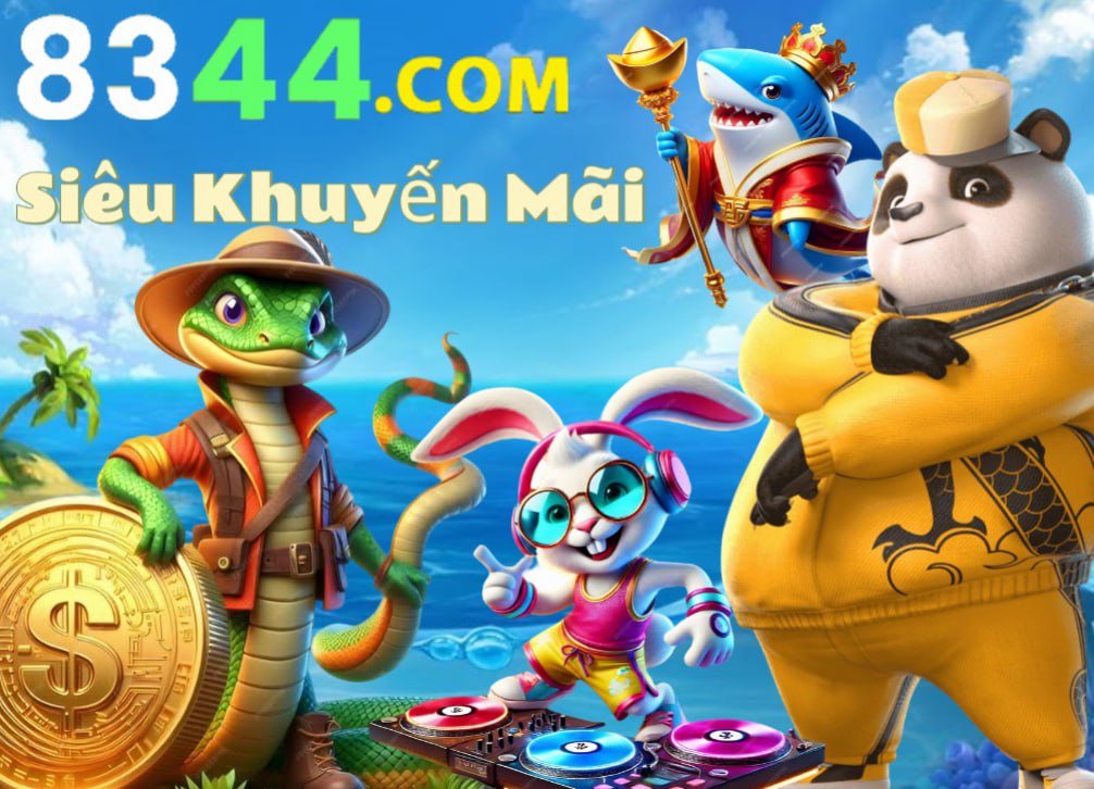 Hình ảnh quảng cáo của vm77 hiển thị nền tảng và các lợi ích