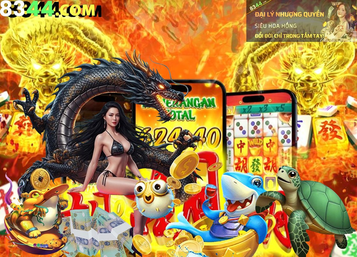 Hình ảnh quảng cáo của vm77 hiển thị nền tảng và các lợi ích