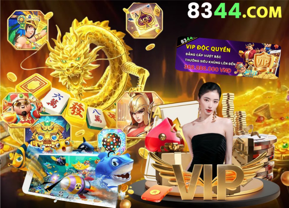 Hình ảnh quảng cáo của vm77 hiển thị nền tảng và các lợi ích