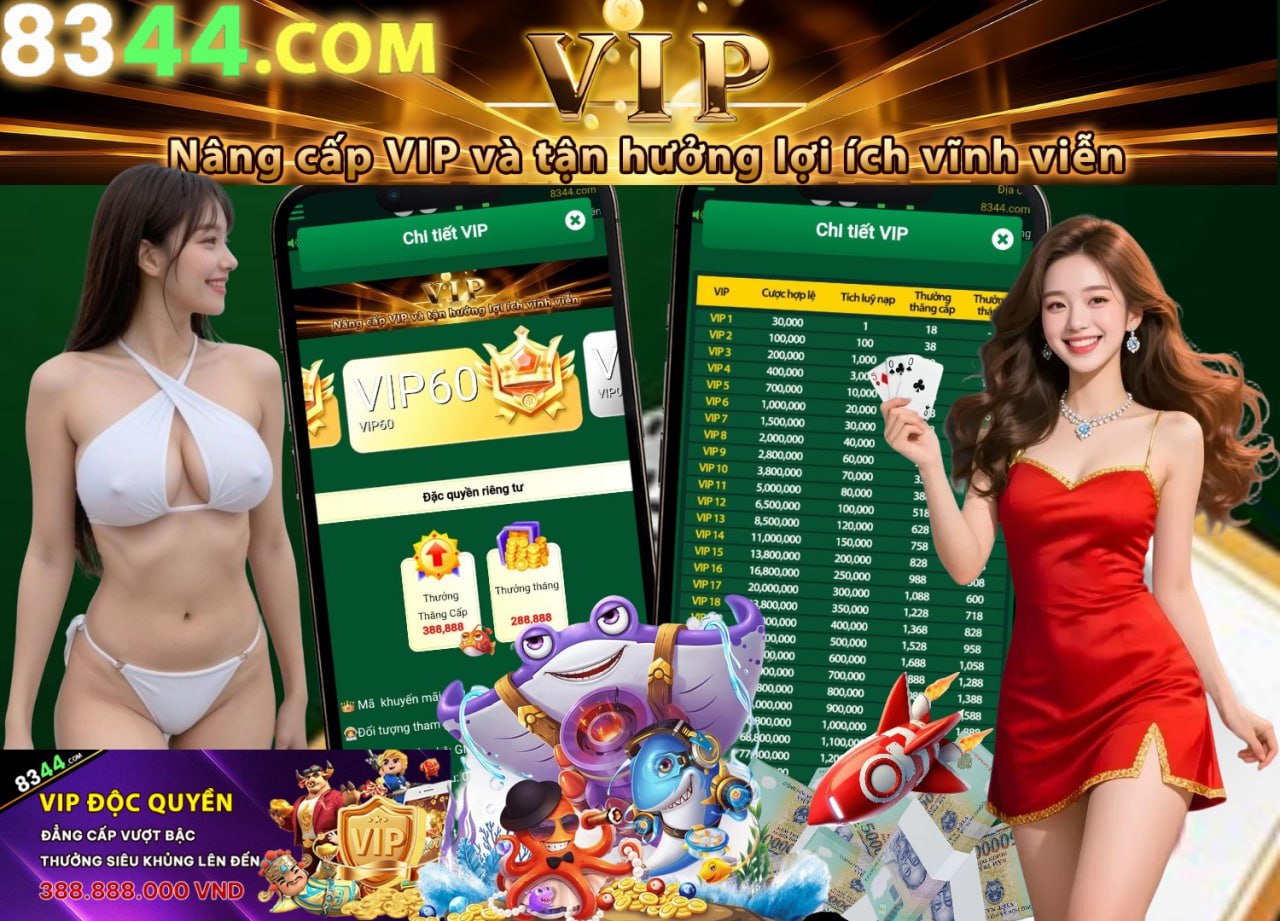 Hình ảnh quảng cáo của vm77 hiển thị nền tảng và các lợi ích